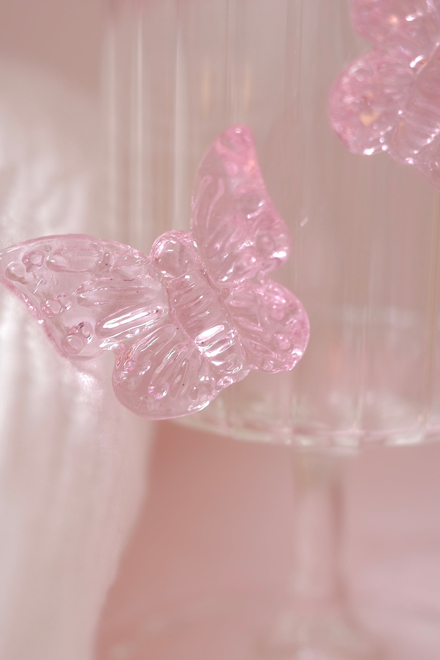The attraction butterfly glass: sunset